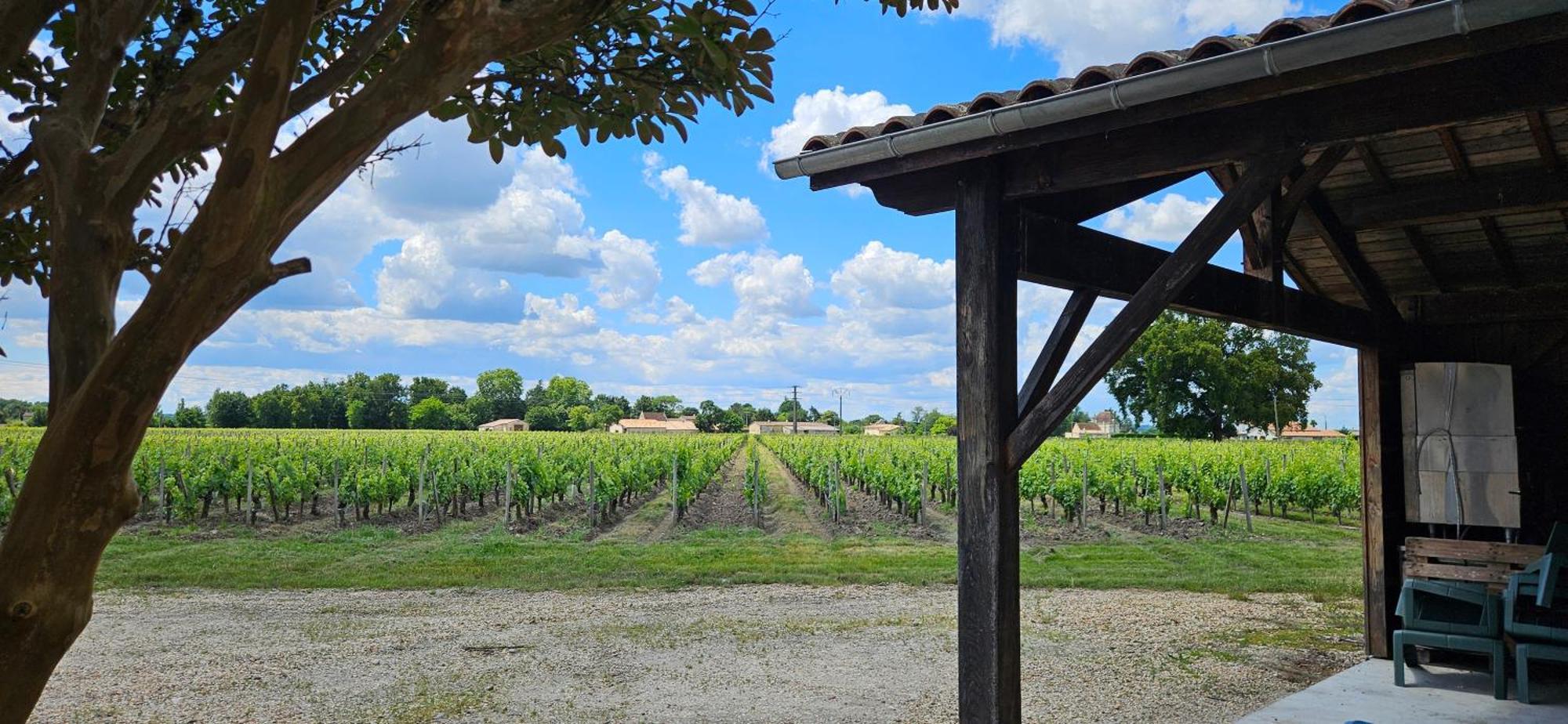 Gite Chateau Touzinat - Saint-Émilion Eksteriør bilde