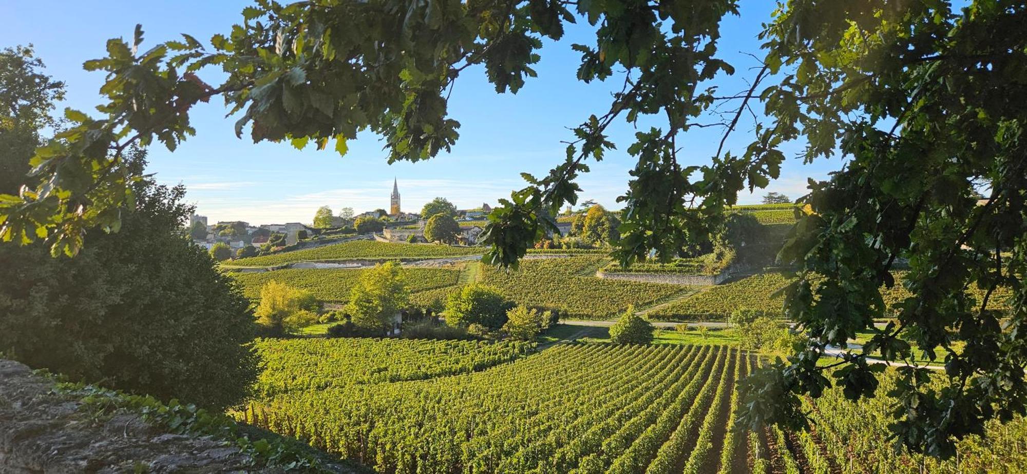 Gite Chateau Touzinat - Saint-Émilion Eksteriør bilde